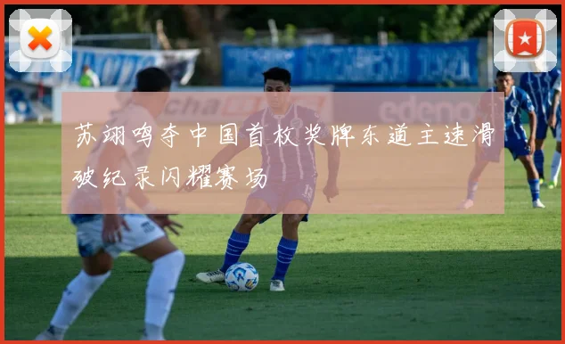 苏翊鸣夺中国首枚奖牌东道主速滑破纪录闪耀赛场