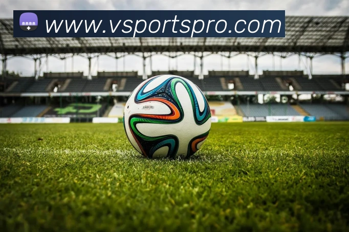 vsports体育平台生态图