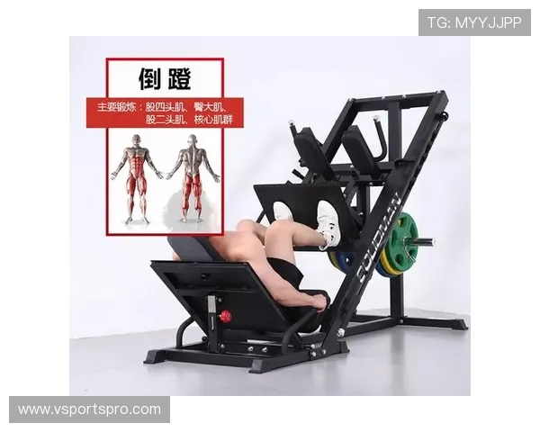 健身器材针对腿部训练的多样化使用技巧 健身器材针对腿部训练的多样化使用技巧